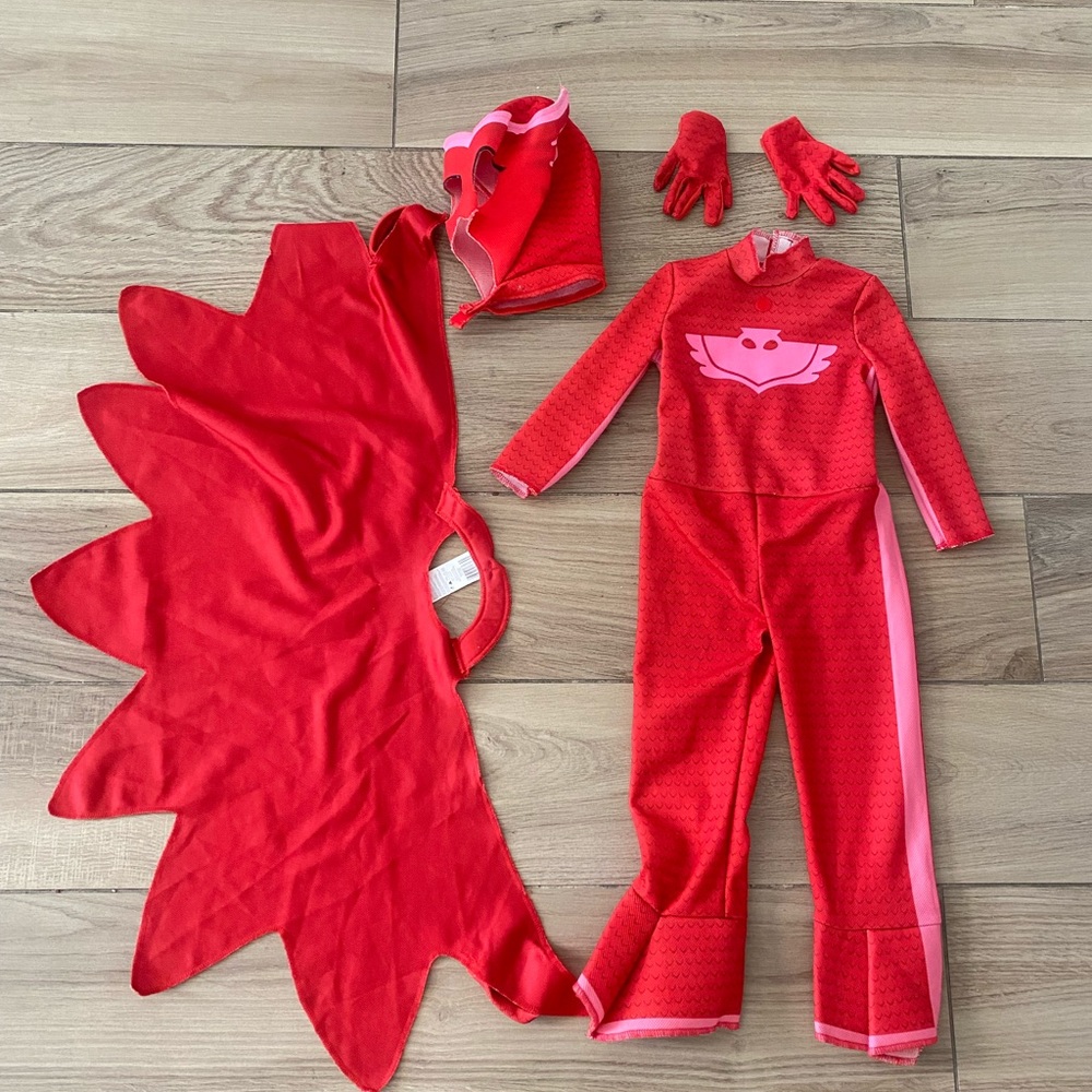 Owelett PJ masks costume 2t